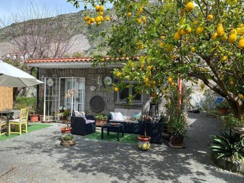 La maison des citrons – Photos 3
