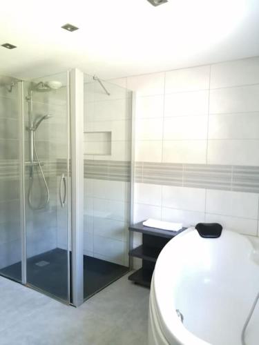 une salle de bain avec une douche en verre et des toilettes dans l'établissement MAISON- Biaudos avec piscine chauffée, à Biaudos