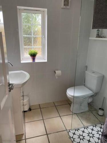 a bathroom with a toilet and a sink and a window at Location, Location! Gorgeous 1 Bed Apt- Killarney in Killarney