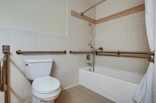 a bathroom with a toilet and a tub and a sink at Holiday Inn Westbury-Long Island by IHG in Carle Place