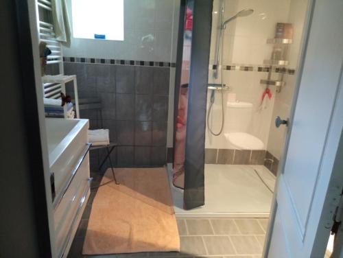 a person is standing in a shower in a bathroom at Lulu in Castelmoron-sur-Lot