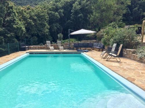 une grande piscine avec des chaises et un parasol dans l'établissement Wanakaset Pyrénées Orientales, à Argelès-sur-Mer