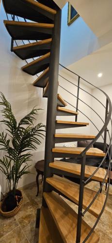 a spiral staircase in a house with a potted plant at Bel & ancien appartement T3 rénové dans Sartène in Sartène
