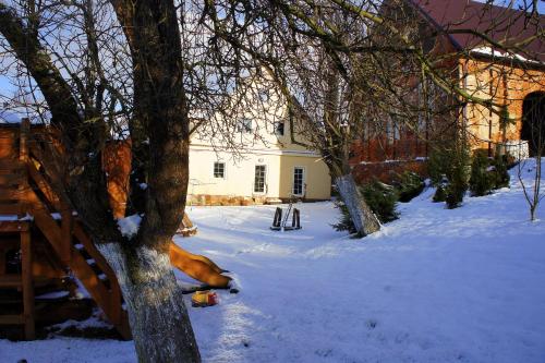 a tree in the snow in front of a house at Gospodarstwo Agroturystyczne Kowalowe Wzgórze in Polanica-Zdrój
