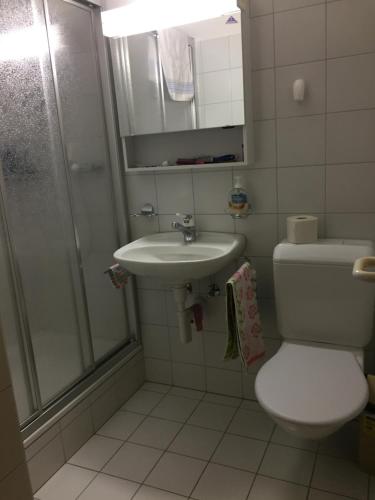 a bathroom with a toilet and a sink and a shower at Disentis-Ferien in Disentis