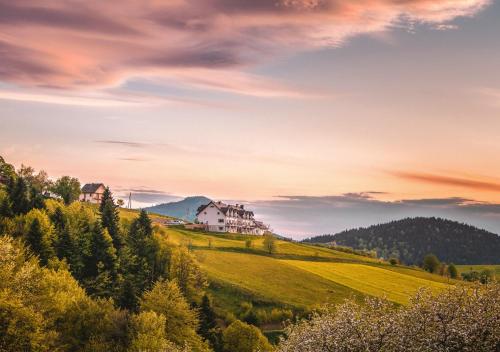 ein Haus auf einem Hügel mitten auf einem Feld in der Unterkunft Bliżej Nieba in Skrzydlna