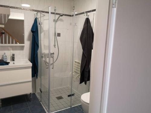 a bathroom with a glass shower with a toilet at Ferienhaus Möller 4 Personen Waldeck Edersee in Waldeck