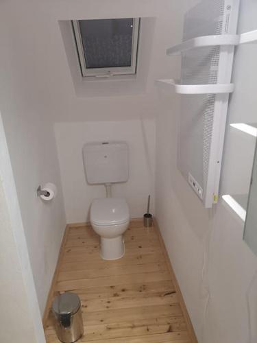 a small bathroom with a toilet and a wooden floor at Ferienhaus Möller 4 Personen Waldeck Edersee in Waldeck