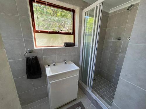 a bathroom with a sink and a shower and a window at Pinchushion Cottage Fish Hoek in Fish hoek