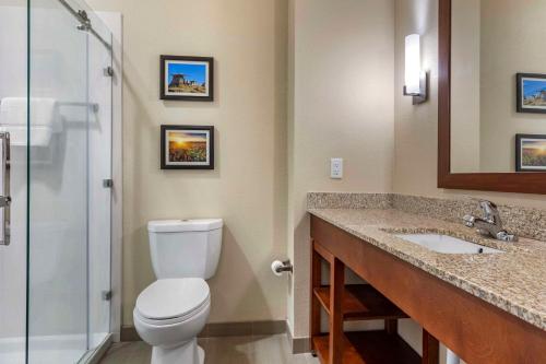 a bathroom with a toilet and a sink and a shower at Comfort Inn & Suites in Edgewood