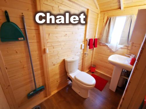 uma pequena casa de banho com WC e lavatório em Camping Melezza em Losone