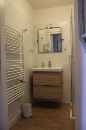 ein Bad mit einem Waschbecken und einem Spiegel in der Unterkunft Ferienwohnung im Alten Peter in Goslar