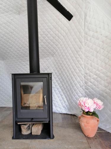 a black stove with a pot of flowers next to it at Glamping Quintana in Gijón
