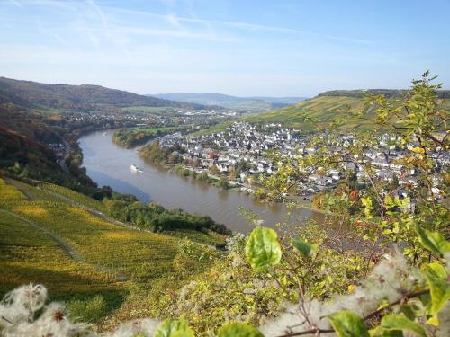 a view of a river with a town at Ferienwohnung Katharina in Bernkastel-Kues