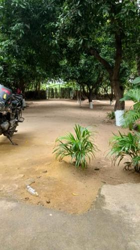 a group of motorcycles parked in a parking lot at Shankar Homestay in Hampi