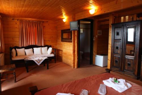 a living room with a couch in a log cabin at Pasithea Mountain Chalet in Feneos