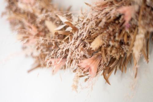 a close up of a dried up flower at Alpine apartments Marcella in Žirovnica