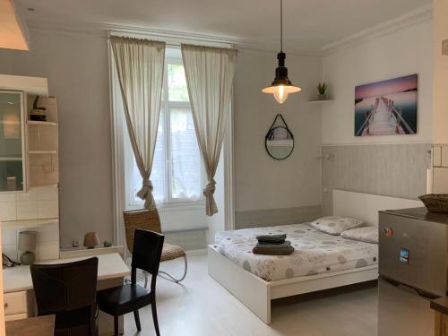 une chambre avec un lit, une table et un bureau dans l'établissement Studio centre ville, à Aix-les-Bains