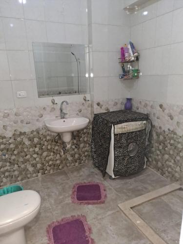 a bathroom with a sink and a toilet and a mirror at الدقي in Cairo