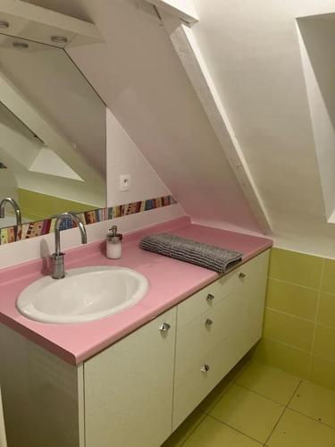 La salle de bains est pourvue d'un comptoir rose et d'un lavabo. dans l'établissement Duplex 6/8p centre Plouha, à Plouha