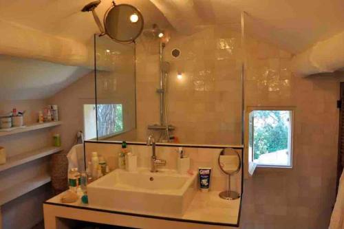 een badkamer met een wastafel en een spiegel bij BASTIDON FARFALLINA in Puyvert