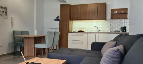 sala de estar con sofá azul y cocina en Brand new cozy apartment, en Mesaíon Karlovásion