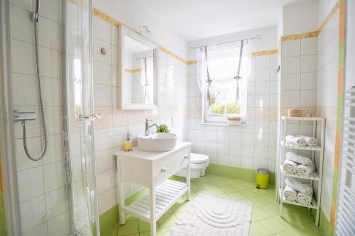 a bathroom with a sink and a shower and a toilet at Alpine apartments Marcella in Žirovnica