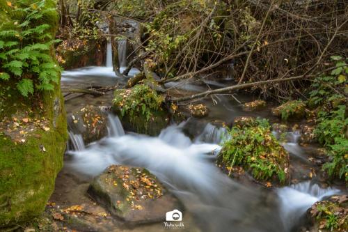 a stream in a forest with rocks and trees at Tottam Art & Healthy Garden in Málaga
