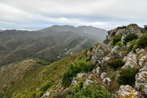 a view from the top of a mountain at Tottam Art & Healthy Garden in Málaga