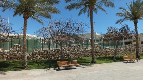 two benches in a park with palm trees and a building at Sharm Hills Resort in Sharm El Sheikh