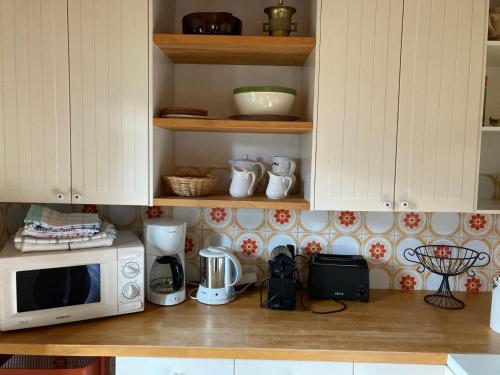 eine Küche mit einer Theke mit einer Mikrowelle und Geräten in der Unterkunft Chalet Neunhoeffer by Interhome in Patergassen