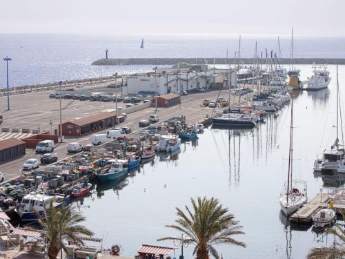 Apartment Ibis-2 by Interhome