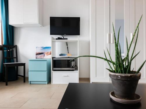 uma sala de estar com uma televisão e um vaso de plantas em Apartment B 110 by Interhome em Dittishausen