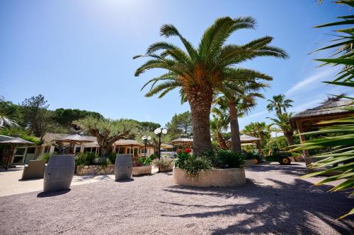 a palm tree in a parking lot in a resort at Glamping Frejus in Roquebrune-sur-Argens