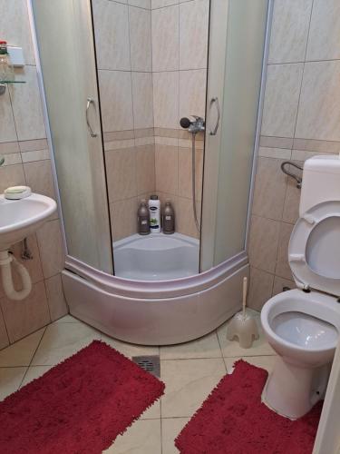 a bathroom with a shower with a toilet and a sink at Квартира in Igalo