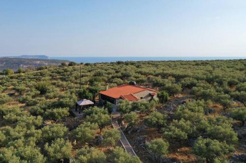 an aerial view of a house in a field of trees at Petra & Elia in Oítilon