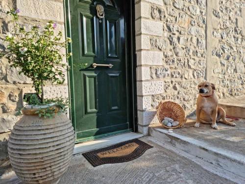 a dog sitting on the doorstep of a door at Petra & Elia in Oítilon