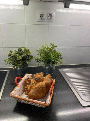 a tray of pastries on a counter in a kitchen at Puskas Apartman in Costa de Antigua
