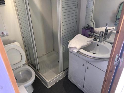 a bathroom with a shower and a toilet and a sink at Little Studio in Rue Biscarra in Nice
