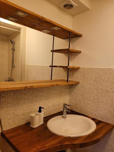 uma casa de banho com um lavatório e um espelho em Au cœur du massif jurassien em Les Rousses