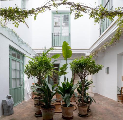 rząd roślin doniczkowych w pokoju z oknami w obiekcie Hommyhome Castellar Luxury w Sewilli