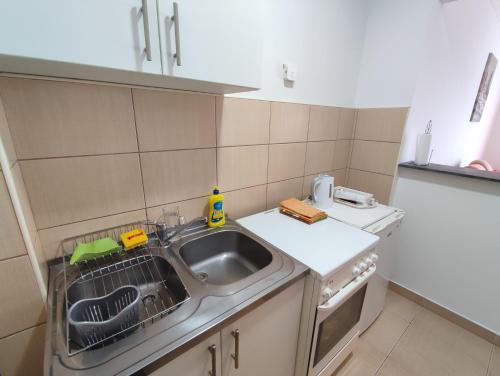 una pequeña cocina con fregadero y lavavajillas en Apartman Malta, en Banja Luka
