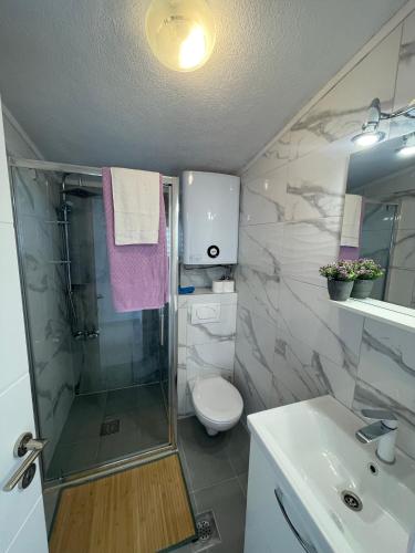 a bathroom with a shower and a toilet and a sink at Apartmani ABA in Stanići
