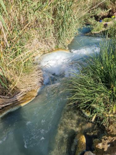 a stream of water with grass in a field at CASA MAIRA IN CENTRO A SATURNIA in Saturnia