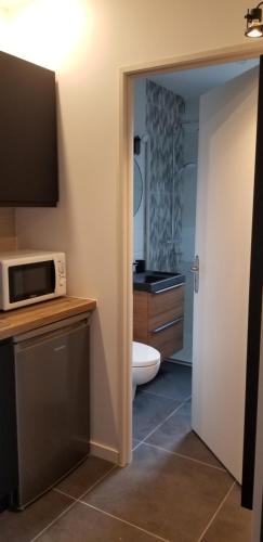 a bathroom with a toilet and a microwave at La terrasse des volcans in Saint-Genès-Champanelle