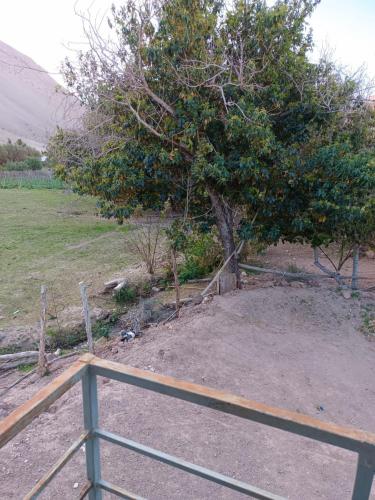 a fence with a tree in a field at Huerto El Tránsito in El Portillo