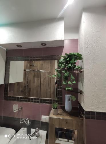 Koupelna v ubytování Apartament Centrum Kościuszko