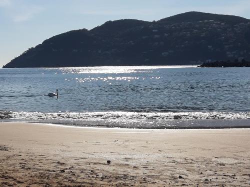 Belle situation au calme