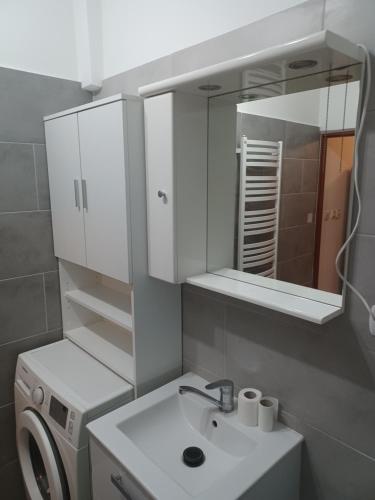 a bathroom with a sink and a washing machine at Fajne Mieszkanko z klimą in Gołdap