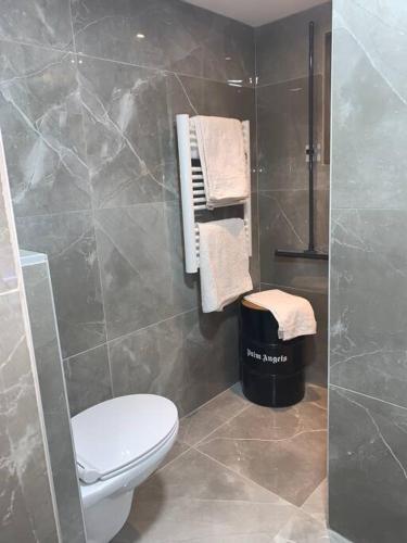 a bathroom with a toilet and a shower at Suite romantique Spa Balnéothérapie in Échirolles